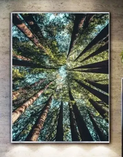 Quadros personalizados.