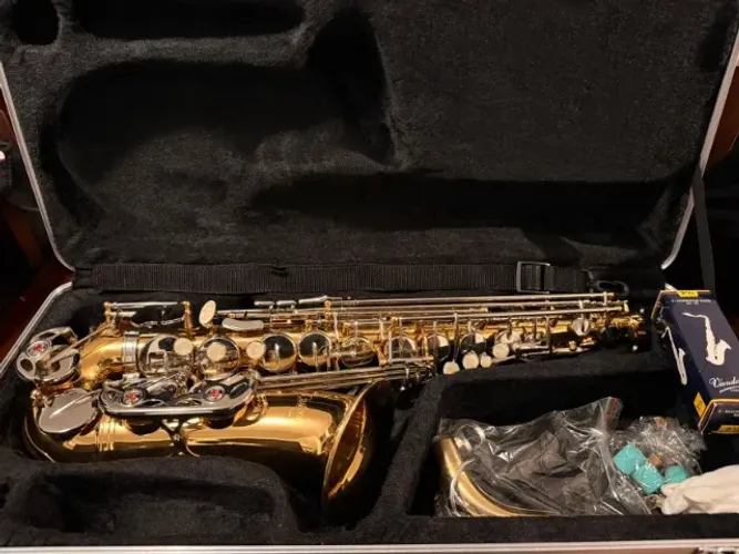 Saxofone Alto em Mi Custom Laqueado AS10LN  - SOMENTE VENDA (Ler Descrição)