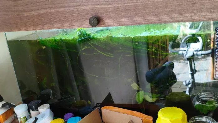Vendo aquário 96 litros somente vidro