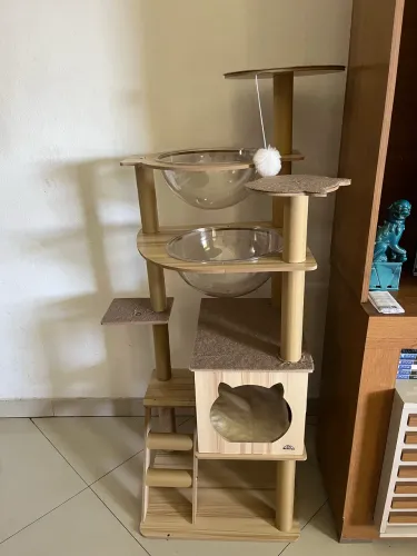 Casa gato andares