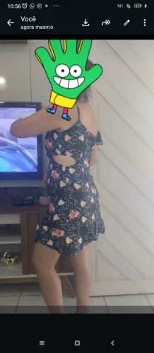 Vestido  novo 
