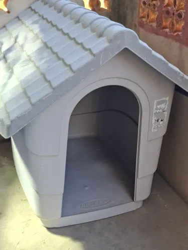Casa pet