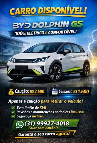 Aluguel Byd Dolphin