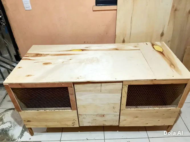 casa pra pintinho ramister coelho 
