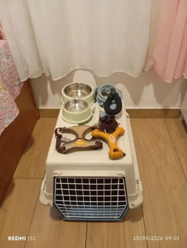 Caixa de transporte para cachorro - kit completo