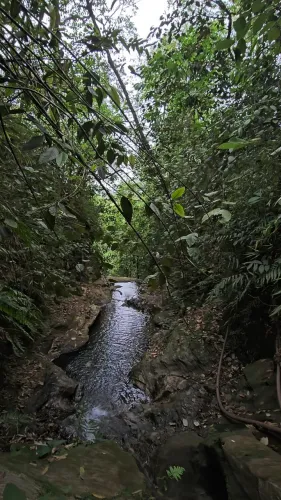 Chácara escriturada de 9 hectares com córrego - Pé de Galinha | Ponte Alta Sul