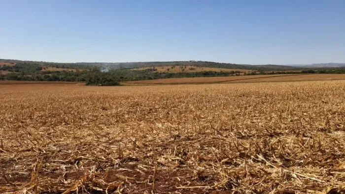 Fazenda em mineiros-Goiás
