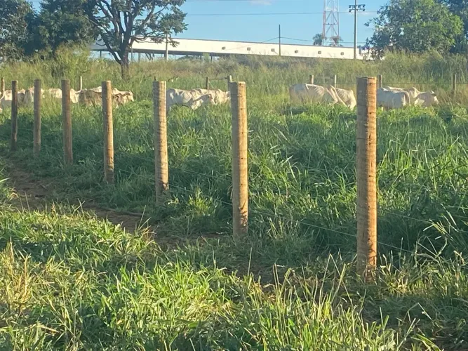 Área BR153, Povoado Floresta