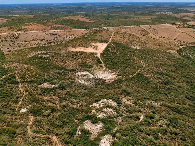 Área à venda, 270000 m² por R$ 6.000.000,00 - Centro - Canindé de São Francisco/SE