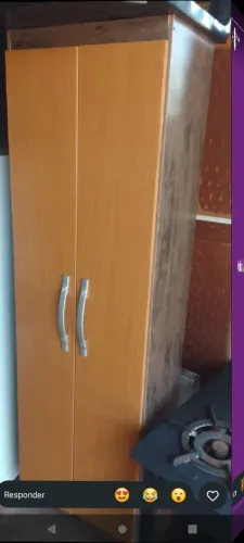 MULTIUSO ARMÁRIO 2 PORTAS BOM PARA COMEÇAR NA VIDA SOLO