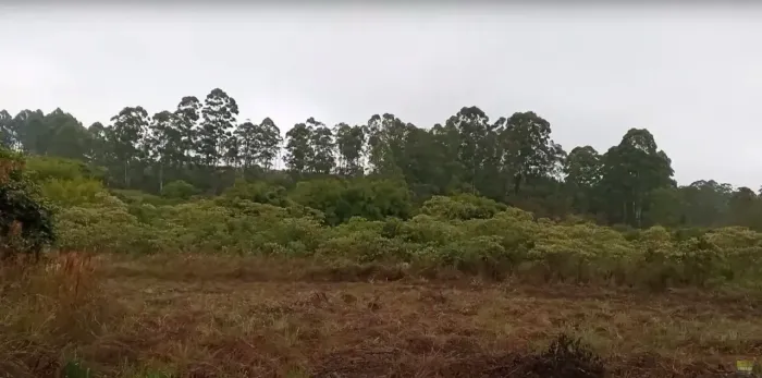 Terreno 10 mil metros em Desterro de entre rios 65 mil aceito carro
