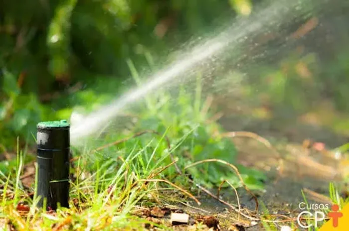 IRRIGAÇÃO PARA GRAMA ESMERALDA JARDINS E ÁREAS RURAIS
