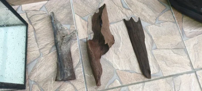 Troncos naturais para aquário