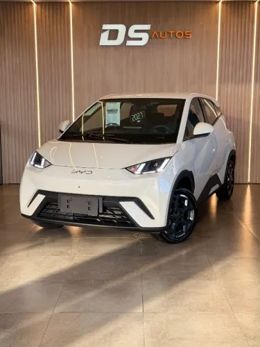 BYD Dolphin Mini (Elétrico) 2027