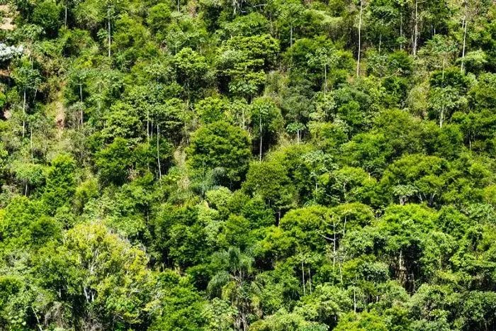 Compensação ambiental 