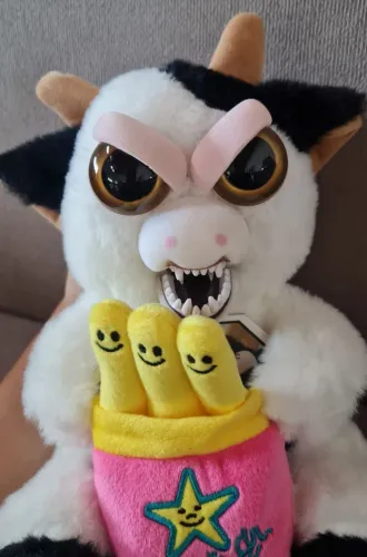 Feisty vaquinha novo