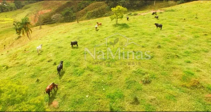 SÍTIO FAZENDA 15ha APENAS 400MIL - 4 NASCENTES - BRAQUIARA - CURRAL