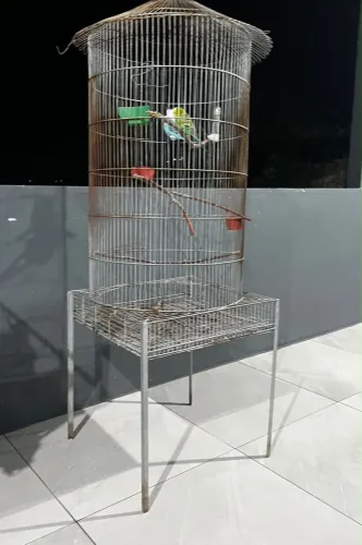 Vendo gaiola para piriquitos ou para calopsita