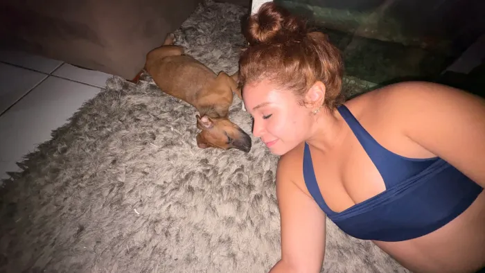 cachorrinho para adoção 