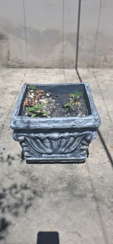 Vaso de planta