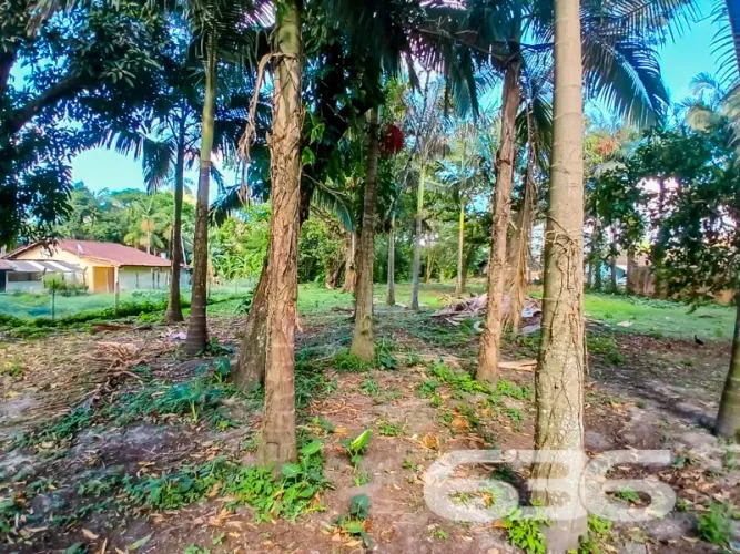 Terreno | São Francisco do Sul | Iperoba