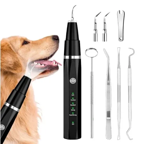 Kit de Higiene e Limpeza Dental para Cães