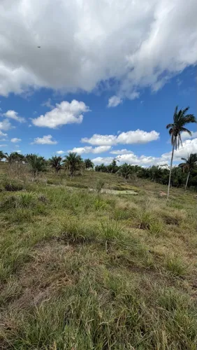 Vende-se Chácara de 6 Alqueires