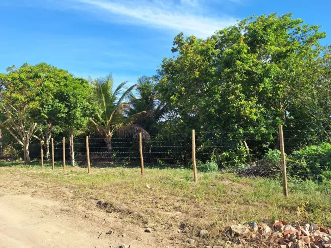 TERRENO NA ESTRADA DO CURURUPE NOVO COUTO - ILHÉUS/BA