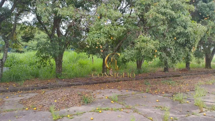 Área para alugar, 23000 m² por R$ 120.833,33/mês - Cidade Vista Verde - São José dos Campo