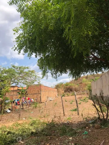 Terreno 12x40 (480 m²) à venda - Rua da Copaba - Bairro Tamarindo - Barra do Corda/MA