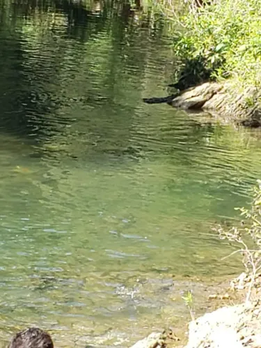 Chácara em Bonito com 4ha com 100m de rio Mimoso