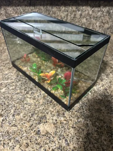 Aquário para peixes