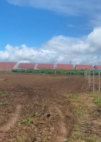Oportunidade na cidade de São Sebastião Alagoas