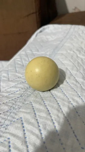 Bolão sinuca 