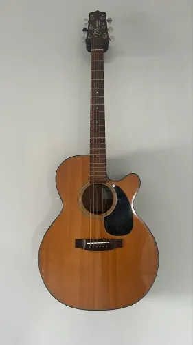 Takamine EG220C