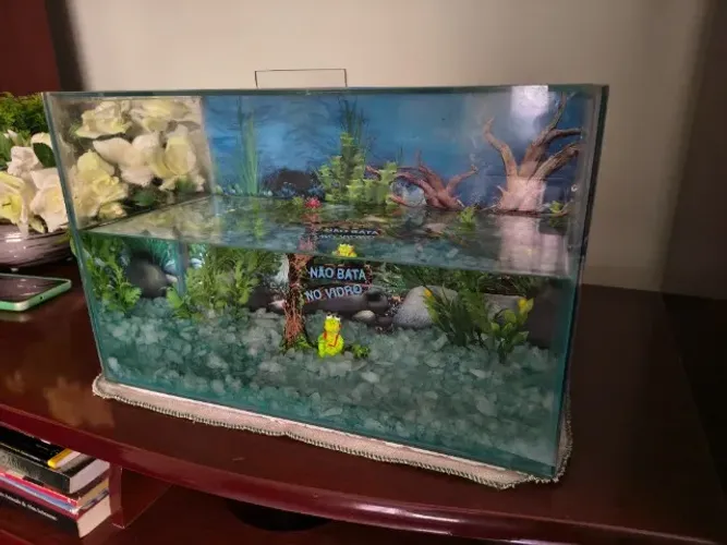 Aquário com decorações