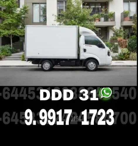 Frete e Mudanças com toda a documentação regularizada