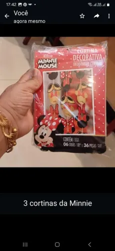 Festa Mickey/Minie