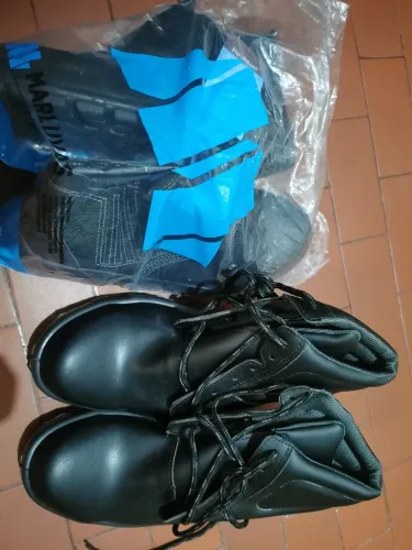 Bota nova