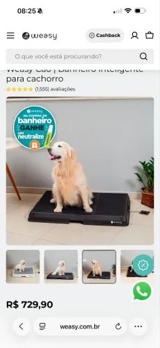 Weasy Dog G