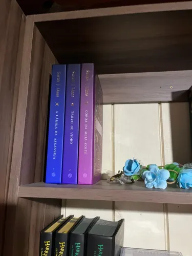 TRONO DE VIDRO ? SARAH J. MAAS | 3 LIVROS EDIÇÃO DE LUXO