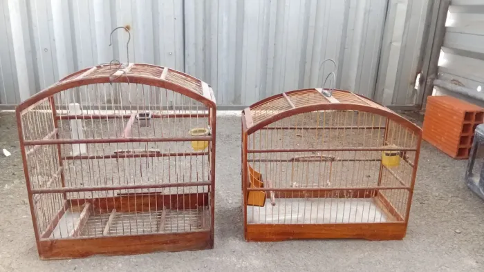 Vendo esas gaiolas