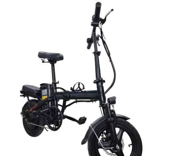 Bicicleta Elétrica Modificada