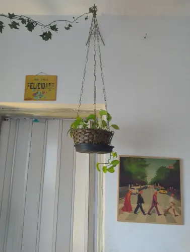 Vaso vime com suporte dourado com planta desenvolvida.