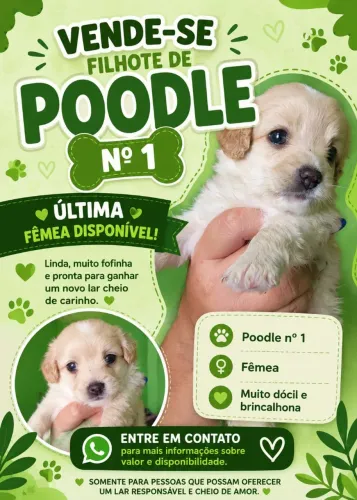 Podlle n1femea