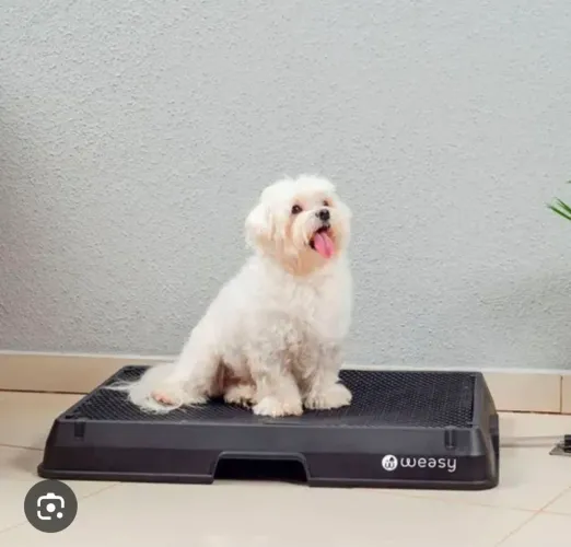 Weasy Dog - Banheiro Inteligente para Cachorro