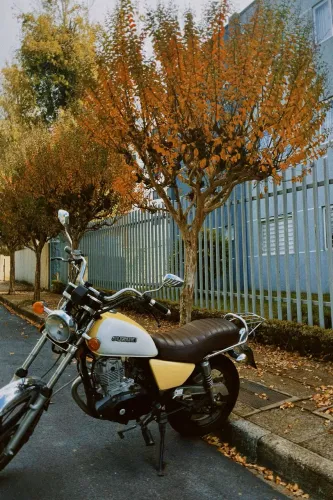 Intruder 125cc
