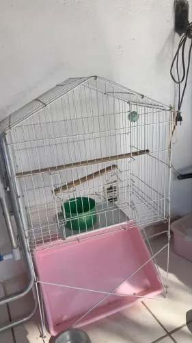 Gaiola de passarinho