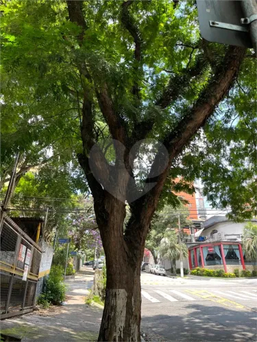Terreno à venda em Sumaré - SP