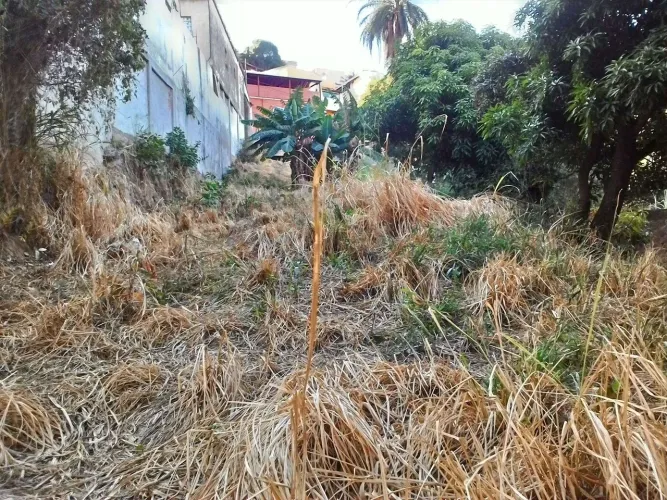 Venda Lote-Área-Terreno Palmeiras Belo Horizonte